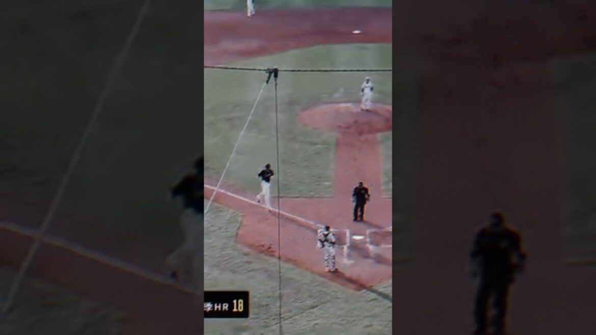 Steven Moya con su jonrón #18 de la temporada #trending #mlb #baseball #stevenmoya #viralvideo #rd Steven Moya con su jonrón #18 de la temporada #trending #mlb #baseball #stevenmoya #viralvideo #rd