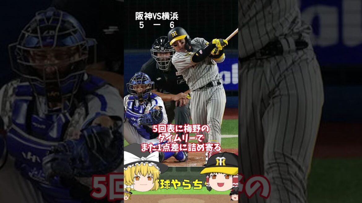 【30秒でわかる9月20日対DeNA戦の結果】地獄の投手運用#阪神タイガース #横浜DeNAベイスターズ 【30秒でわかる9月20日対DeNA戦の結果】地獄の投手運用#阪神タイガース #横浜DeNAベイスターズ