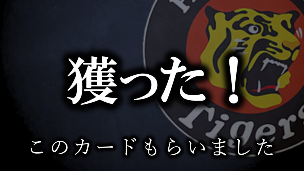 【自演接戦】勝った！からこそ言うのだよ、ねっとりとね【阪神タイガース】