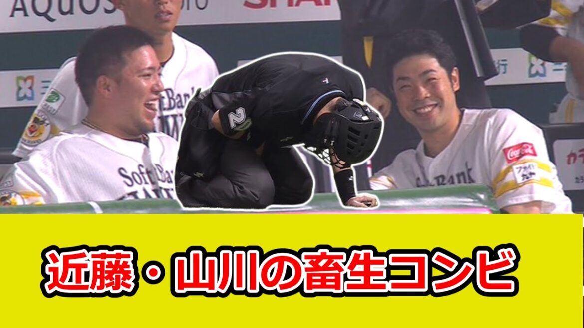 白井球審の股間にファールボールが直撃！ 山川＆近藤爆笑
