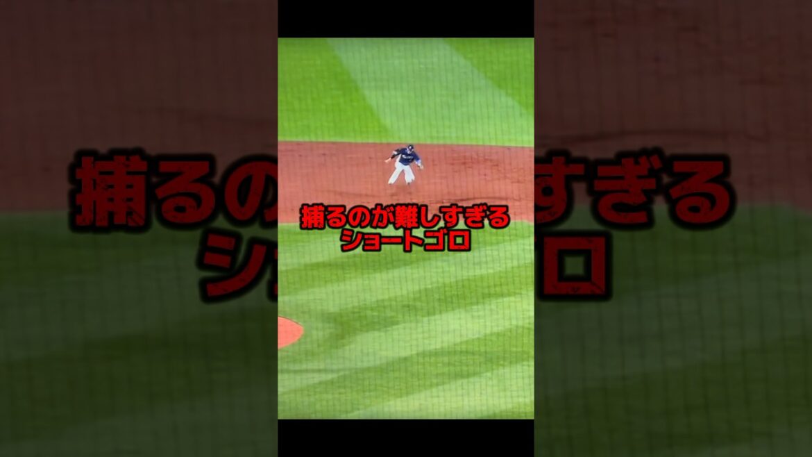 これは難しい❗️