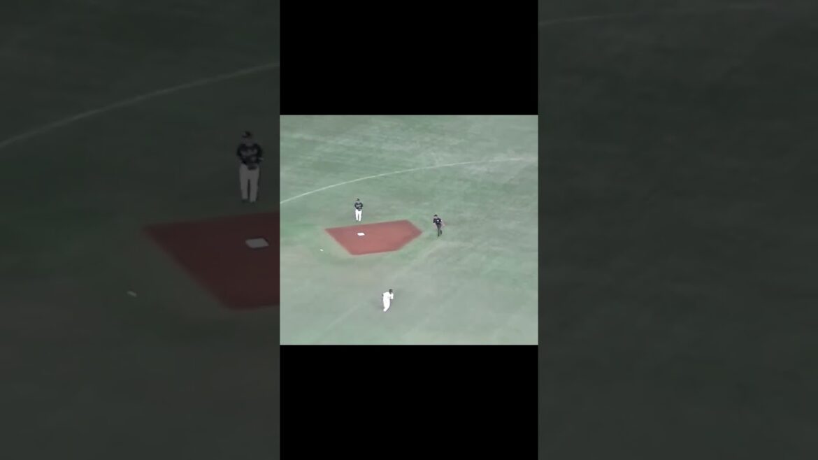 佐々木俊輔の打球 長岡秀樹の安定したショート守備【読売ジャイアンツ対 ヤクルトスワローズ2024年5月1日】