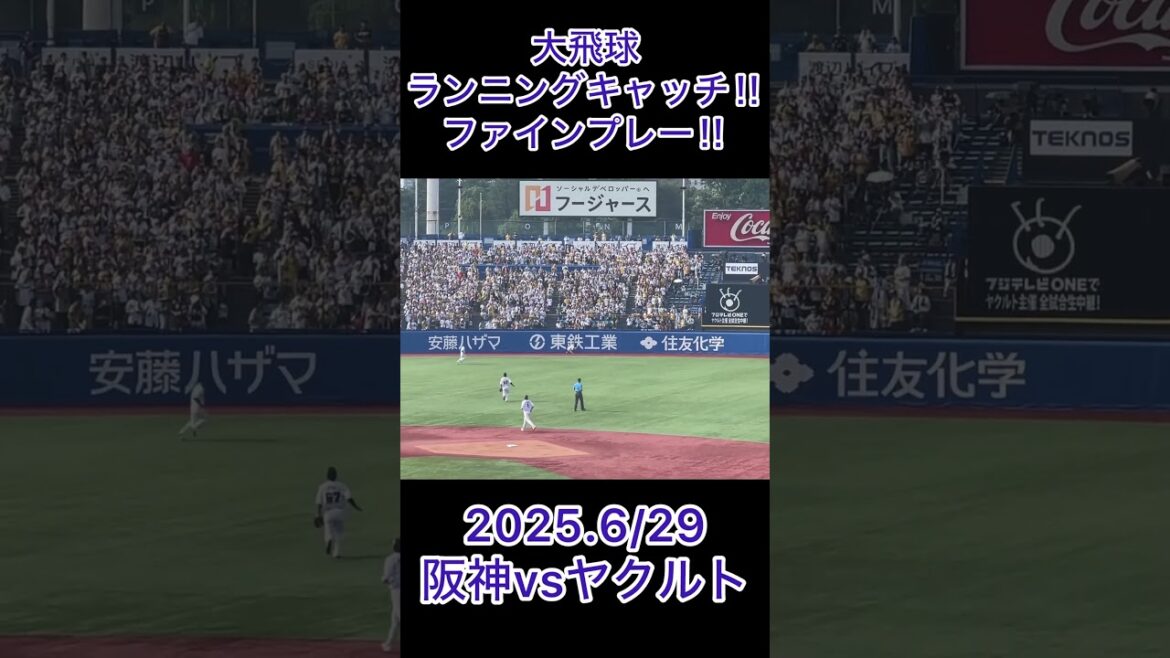 並木秀尊ファインプレー‼︎ #shorts #東京ヤクルトスワローズ #プロ野球
