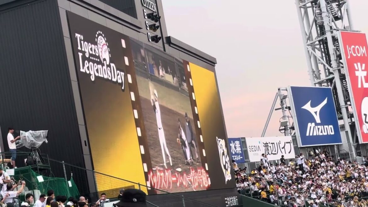 2025.7.1 レジェンドデー バックスクリーン3連発 振り返り特別ムービー