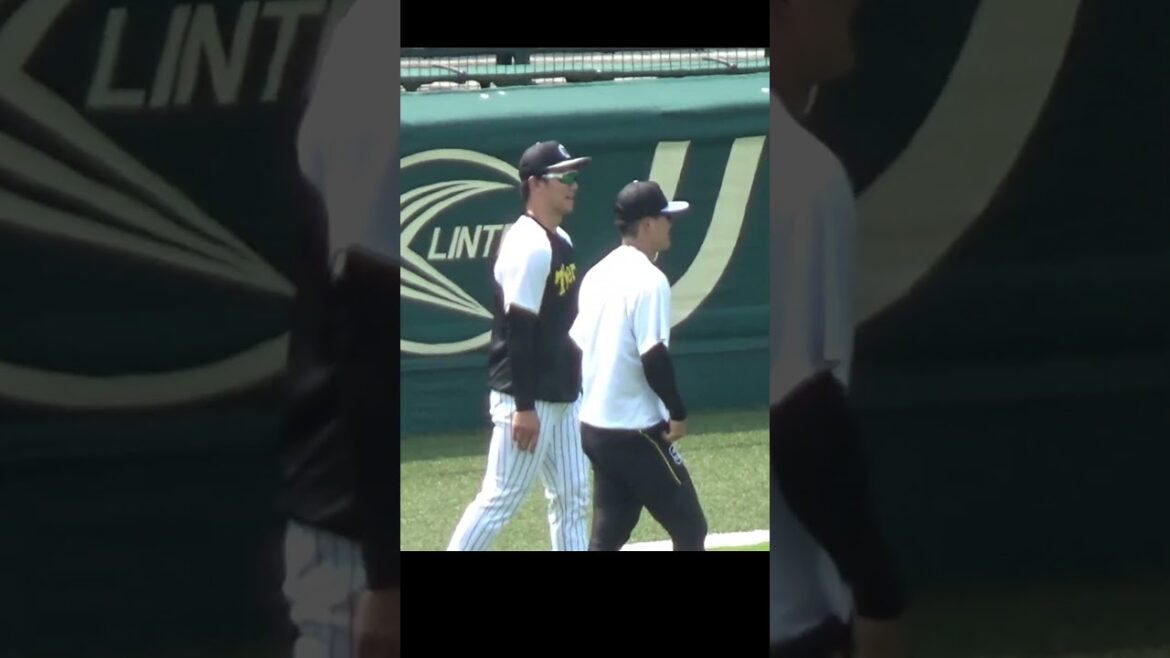 阪神 才木/大竹/佐藤輝/大山/中野/島田/森下/前川/榮枝/豊田