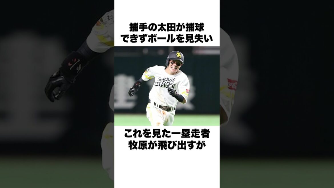 「100年に1度の珍プレー」三森大貴についての雑学#野球 #野球雑学 #ソフトバンクホークス 「100年に1度の珍プレー」三森大貴についての雑学#野球 #野球雑学 #ソフトバンクホークス