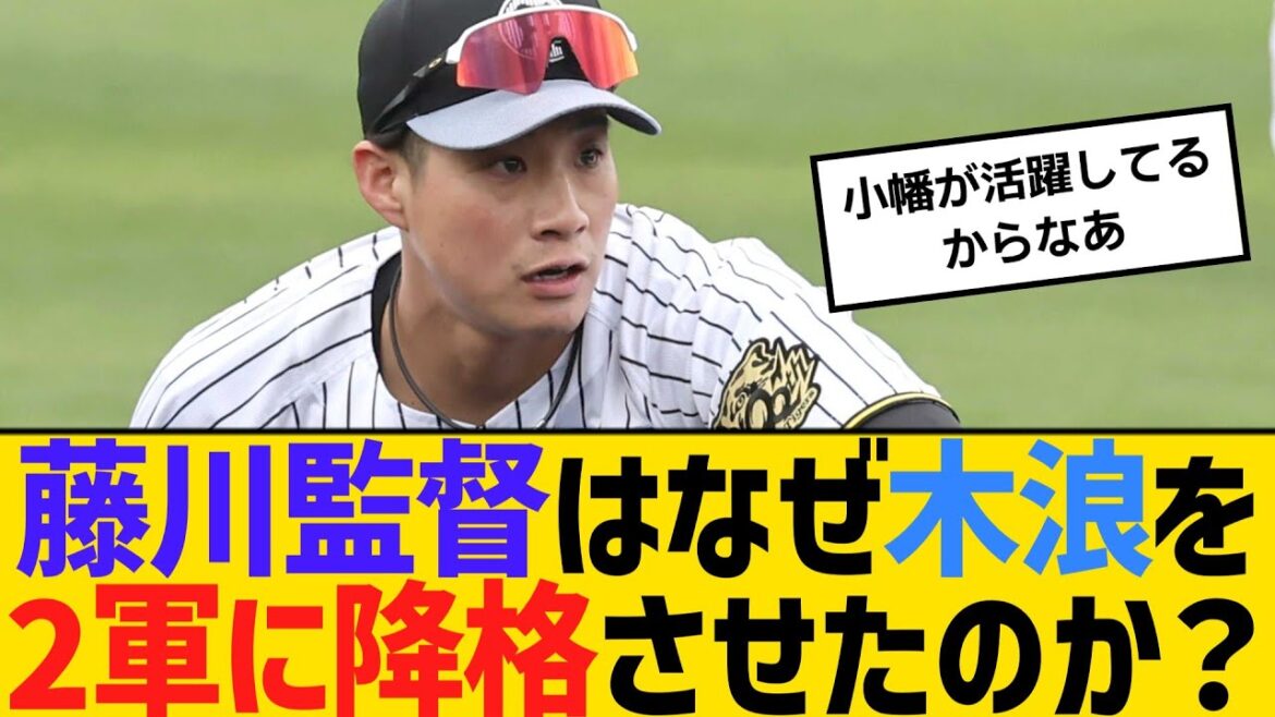 阪神・藤川監督はなぜ木浪聖也を2軍に降格させたのか？　【ネットの声】【野球】