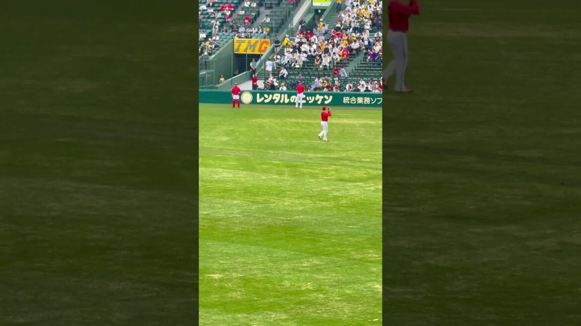 #森下暢仁 スタイルもストレートも良い