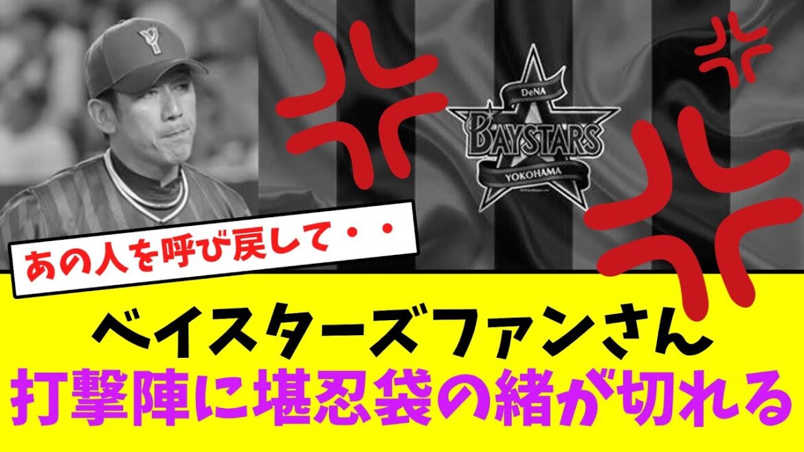 ベイスターズファンさん、貧打の打撃陣に怒り・・【なんJなんG】【2ch5ch】