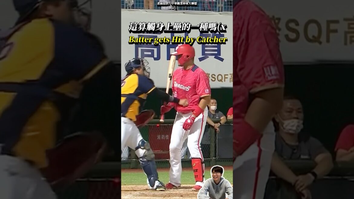 當林智勝的幸運值還沒點到滿等 Batter Gets a Hit By Catcher. #baseball #CPBL #shorts #中信兄弟