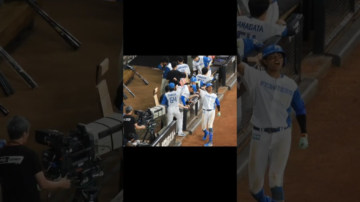 水谷選手ホームラン後のベンチの様子！ #北海道日本ハムファイターズ #日本ハムファイターズ #ファイターズ #エスコンフィールド北海道 #エスコンフィールド #水谷瞬 #shorts #short