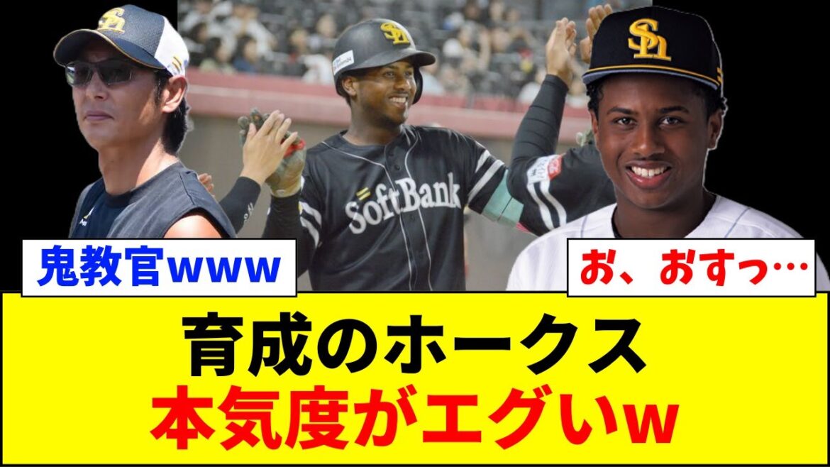 【速報】ソフトバンクホークス、育成の本気度がエグい！【ネットの反応】