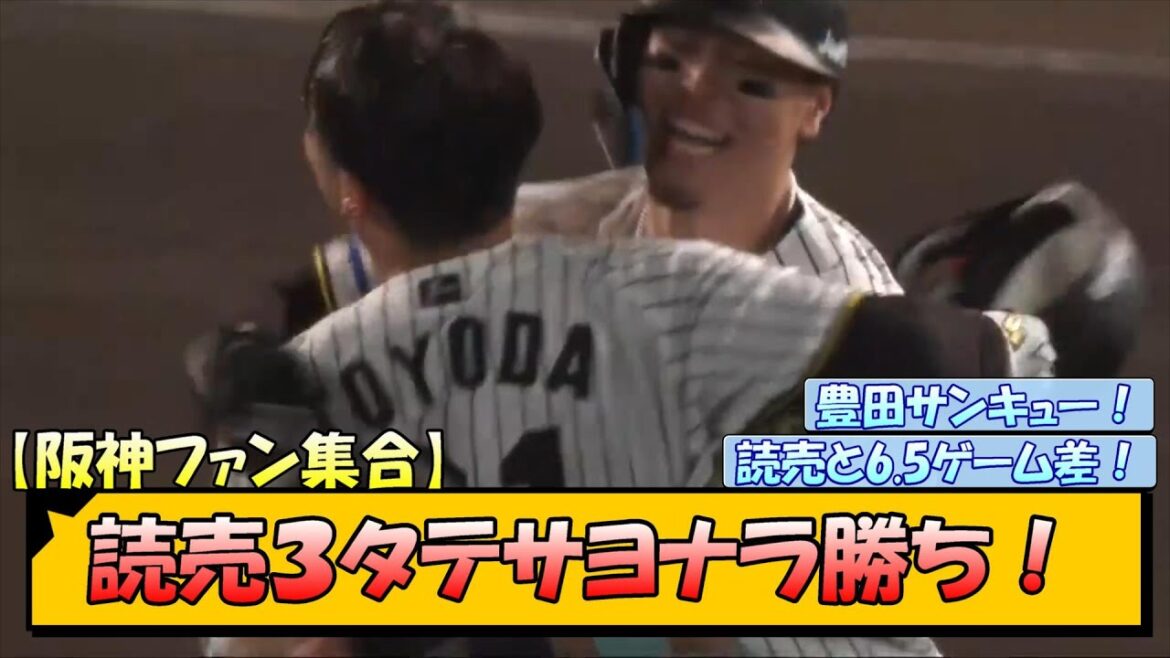 【阪神ファン集合】巨人３タテサヨナラ勝ち！