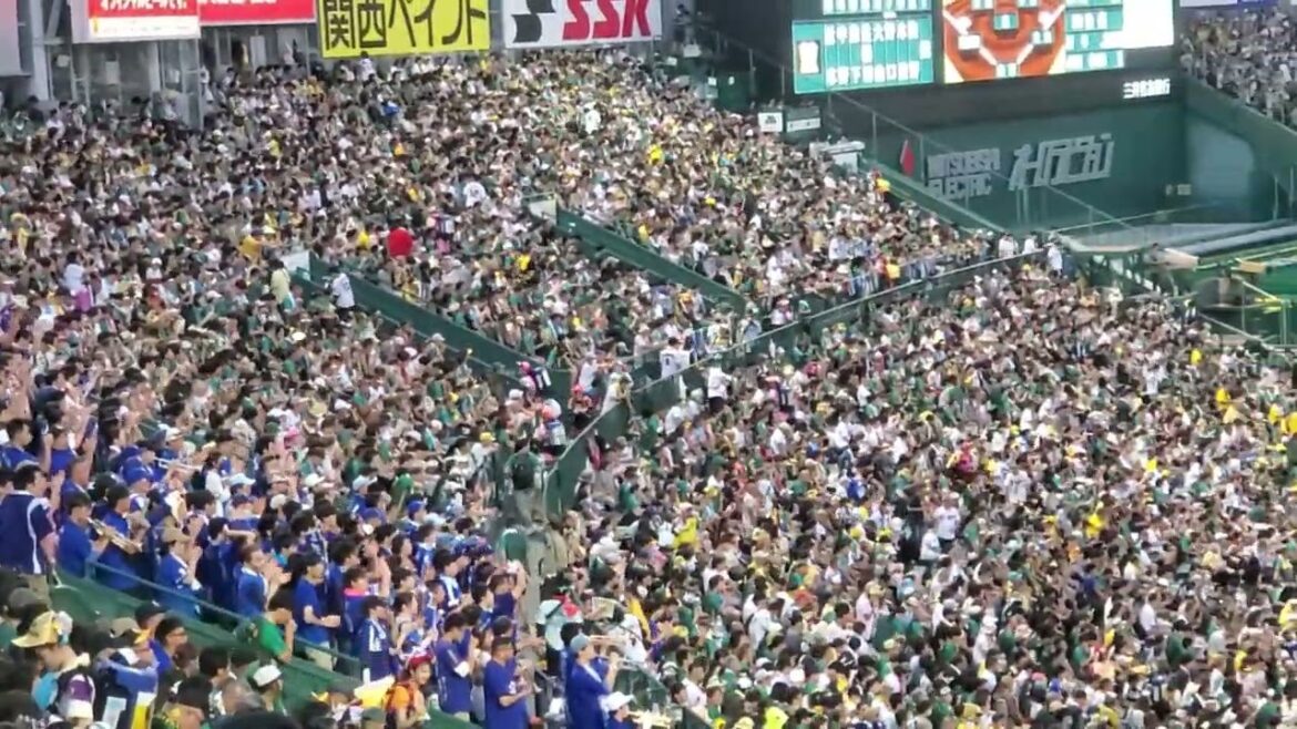 20240728　雑音を吹き飛ばす【駿太 応援歌】　4回表　中日ﾄﾞﾗｺﾞﾝｽﾞ　後藤駿太　しゅんちぇる@阪神甲子園球場･ﾚﾌﾄ外野 ｳﾙ虎の夏2024