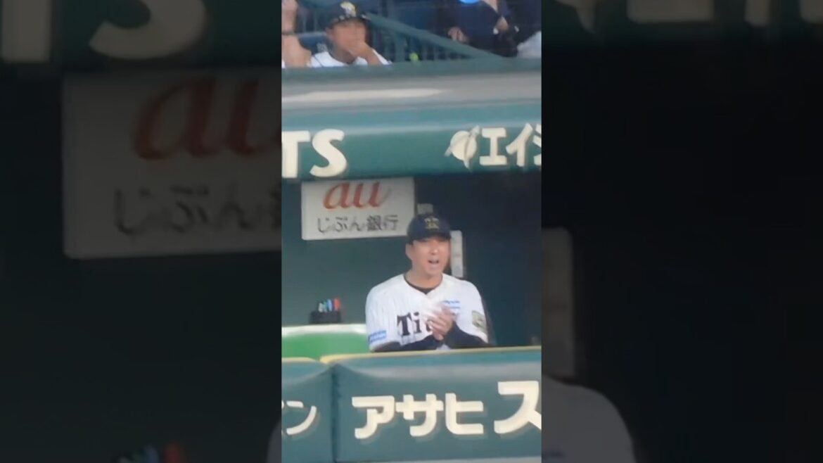 森下翔太のタイムリーで手を叩いて喜ぶ藤川監督