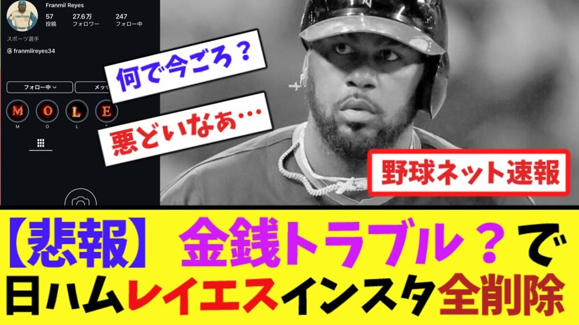 【悲報】金銭トラブル?で日ハム・レイエス、インスタ全削除【ネット反応集】 【悲報】金銭トラブル?で日ハム・レイエス、インスタ全削除【ネット反応集】