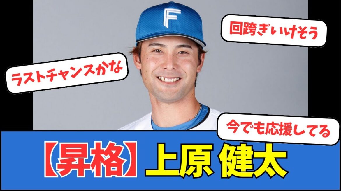 【昇格】日本ハム、上原健太 【昇格】日本ハム、上原健太