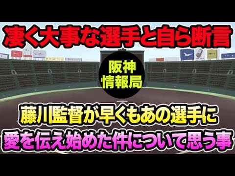 【凄く大事な選手と自ら断言】藤川監督が早くもあの1軍選手に愛を伝えた件について思う事【阪神タイガース】 【凄く大事な選手と自ら断言】藤川監督が早くもあの1軍選手に愛を伝えた件について思う事【阪神タイガース】