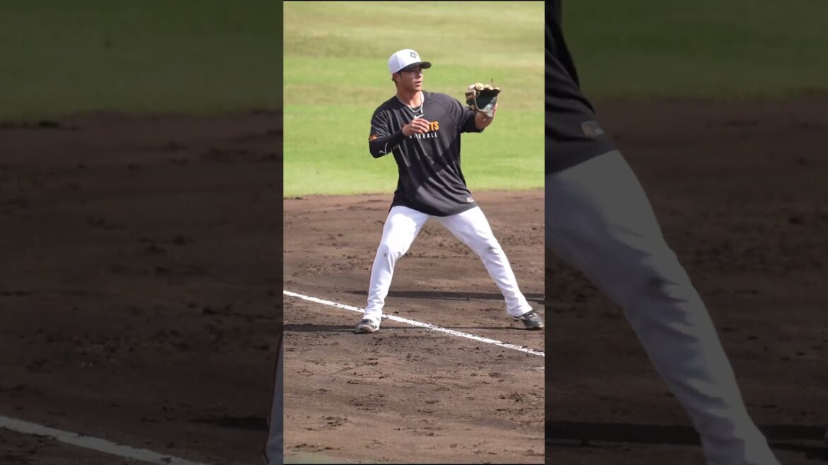 【巨人】神のノックを受ける湯浅大選手　#shorts #baseball #sports #ジャイアンツ #巨人 #プロ野球