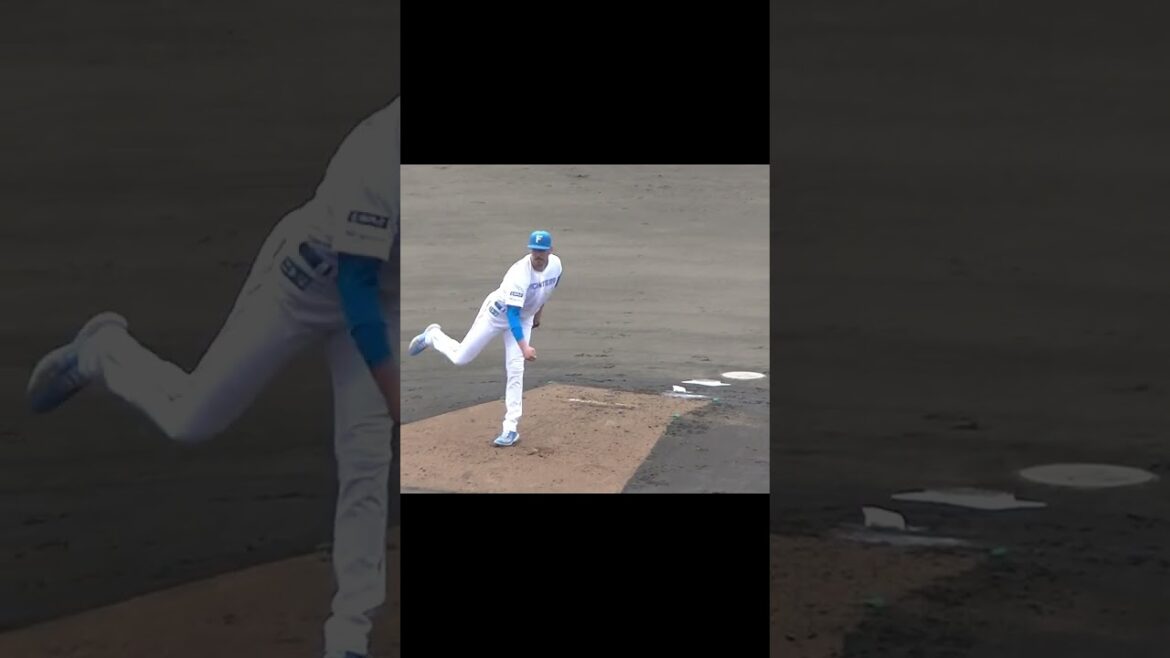 【日ハム】バーヘイゲンのピッチングフォーム2024年5月8日