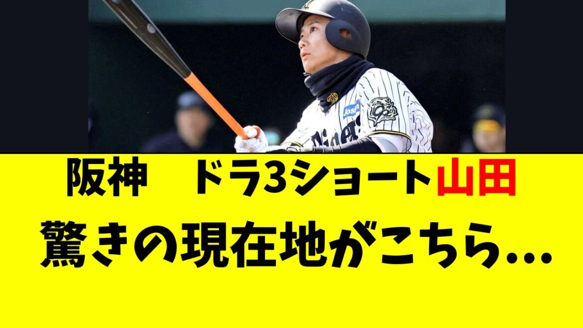 【阪神】ドラ3ショート・山田脩也の最新の状況がこちら 【阪神】ドラ3ショート・山田脩也の最新の状況がこちら