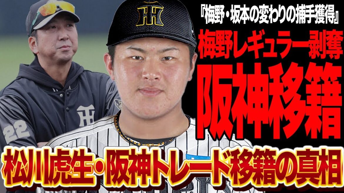 松川虎生が阪神タイガースに電撃トレードが決定か…ベテラン捕手２人のレギュラー剥奪も辞さない保守獲得強行した衝撃の真相に言葉を失う【プロ野球】