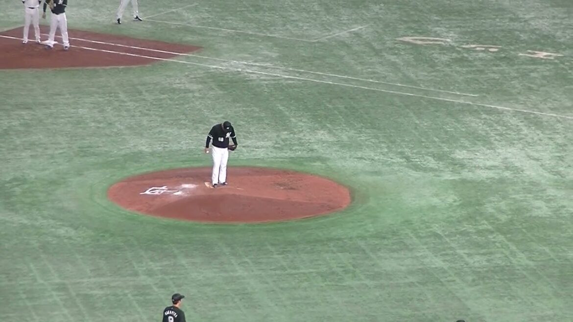 坂本勇人のヒットの後 立岡宗一郎がポテンとタイムリーヒット（2024年6月6日 読売ジャイアンツ対 千葉ロッテマリーンズ）