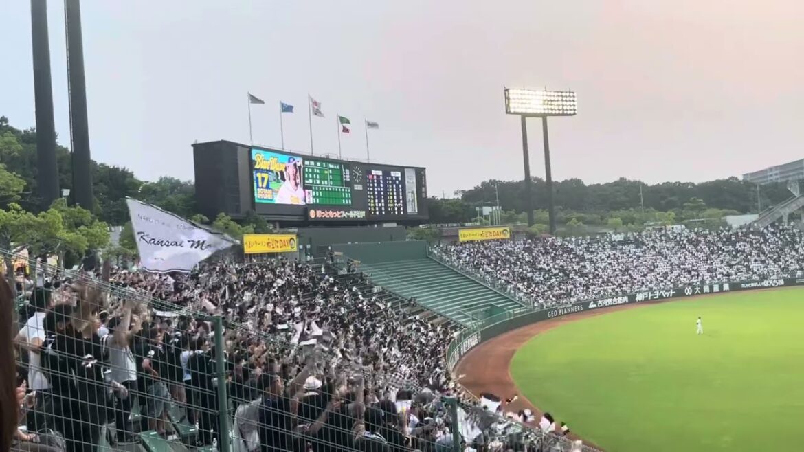 ロッテの応援　#千葉ロッテマリーンズ #ほっともっとフィールド神戸