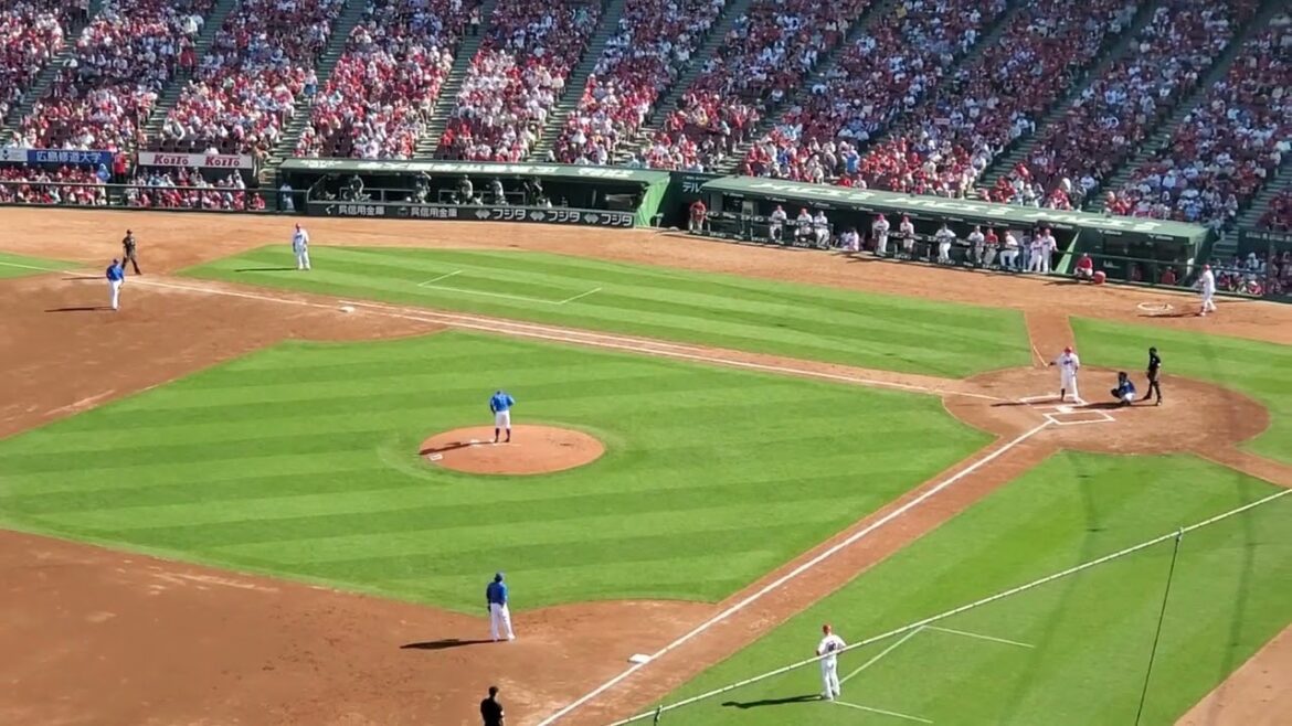 20240503　ﾉﾏ…やらかしが多い【野間峻祥 応援歌】　7回ｳﾗ　広島東洋ｶｰﾌﾟ@MAZDA Zoom-Zoom ｽﾀｼﾞｱﾑ広島･ﾋﾞｼﾞﾀｰﾊﾟﾌｫｰﾏﾝｽ