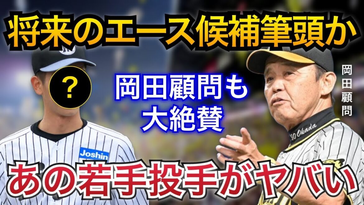 【将来のエース候補か】岡田顧問が、「そんなに時間がかからないかもしれない。」と太鼓判を推す、超期待の若手投手とは【阪神タイガース】