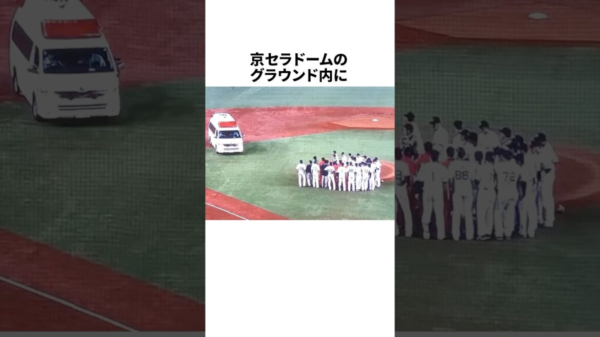 「打球が顔に直撃した」小林慶祐に関する雑学 #野球 #プロ野球 #野球雑学 「打球が顔に直撃した」小林慶祐に関する雑学 #野球 #プロ野球 #野球雑学
