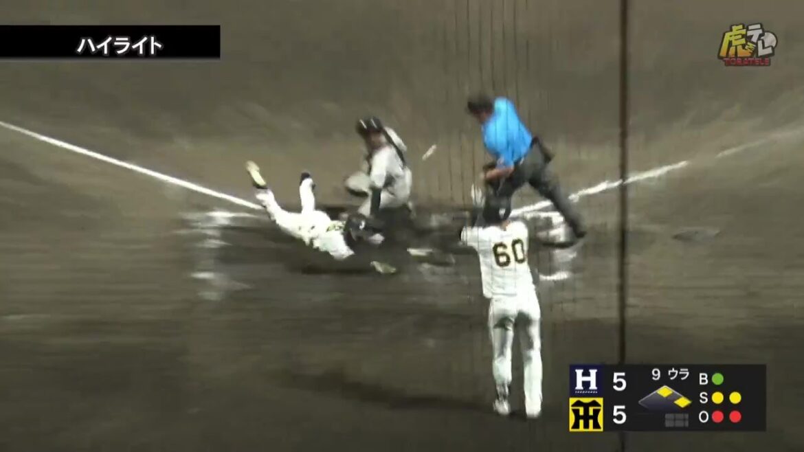 【ハイライト】7/5(土) 神6x－5ハ（ＳＧＬ）| 野口、サヨナラ打！福島、執念のホームヘッドスライディングで生還し接戦を制す！