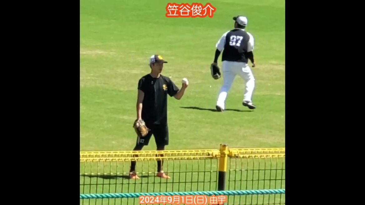 20240901　#笠谷俊介　試合前の調整　キャッチボールなど　#shorts@由宇球場［ｳｴｽﾀﾝ･ﾘｰｸﾞ 2軍戦］由宇練習場