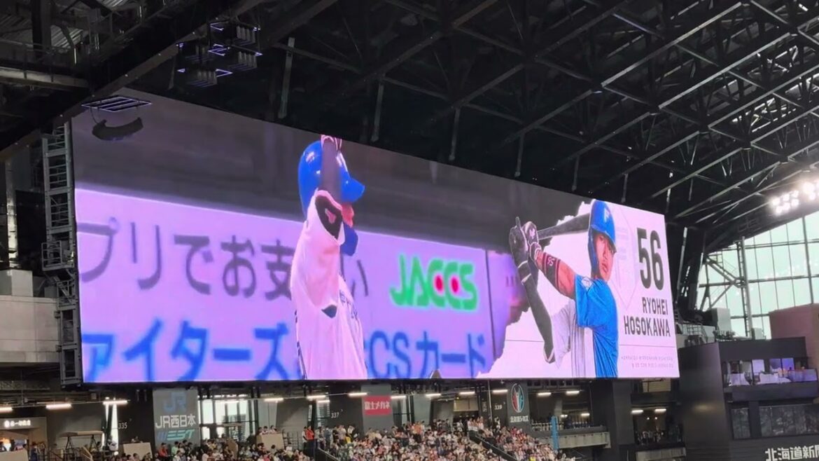 【2024.6.16】細川凌平 登場曲 サイコーなRock You!／矢沢永吉