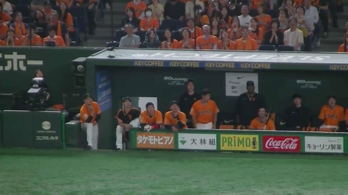 ウィーラーさんベンチで声だして行こうって言ってそうな様子＜読売ジャイアンツ対 日本ハムファイターズ2025年6月17日＞