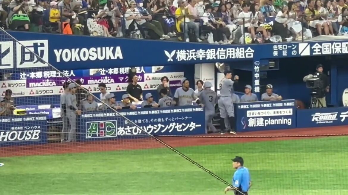 熊谷敬宥のプロ入り初のタイムリー3ベースで盛り上がる阪神ベンチ！