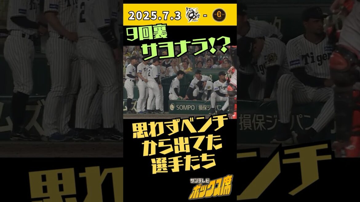 【一打サヨナラのチャンス！】思わずベンチから出てた選手たち（2025年7月3日 阪神－巨人） #サンテレビボックス席