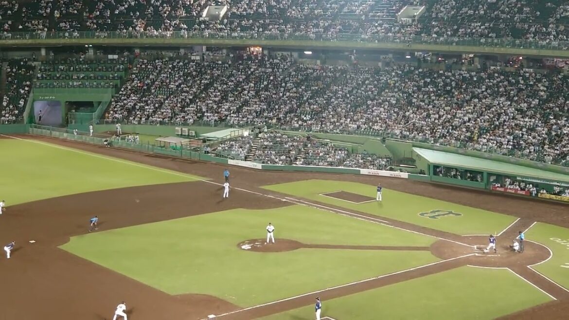 山野辺翔のヒット