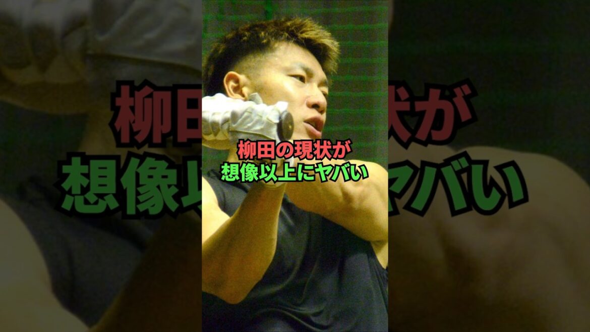 柳田の現状が想像以上にヤバい