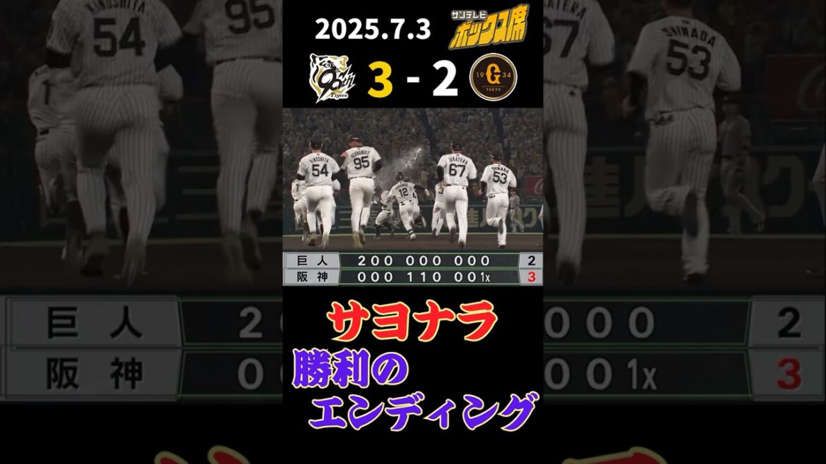 【7/3 伝統の一戦 サヨナラ勝利のエンディング】伝統の一戦3タテ達成！（2025年7月3日 阪神－巨人） #サンテレビボックス席