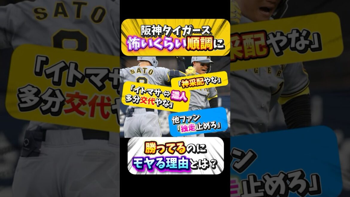 【阪神】勝ってるのにモヤる理由とは？阪神タイガース 怖いくらい順調に・・・・