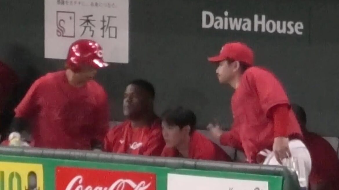 残念カープ...森下と山﨑の投げ合いに敗れた瞬間🥲1番に森下暢仁を気遣う會澤翼！広島東洋カープvs読売ジャイアンツ 2025年7月4日