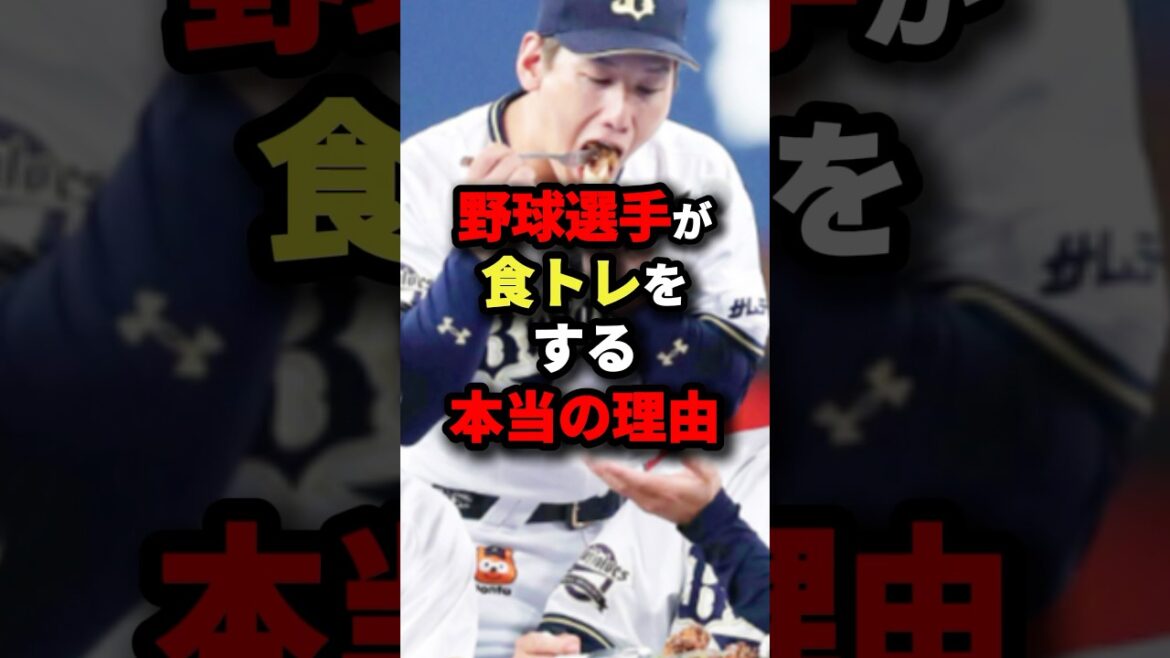 野球選手が食トレをする本当の理由 #野球