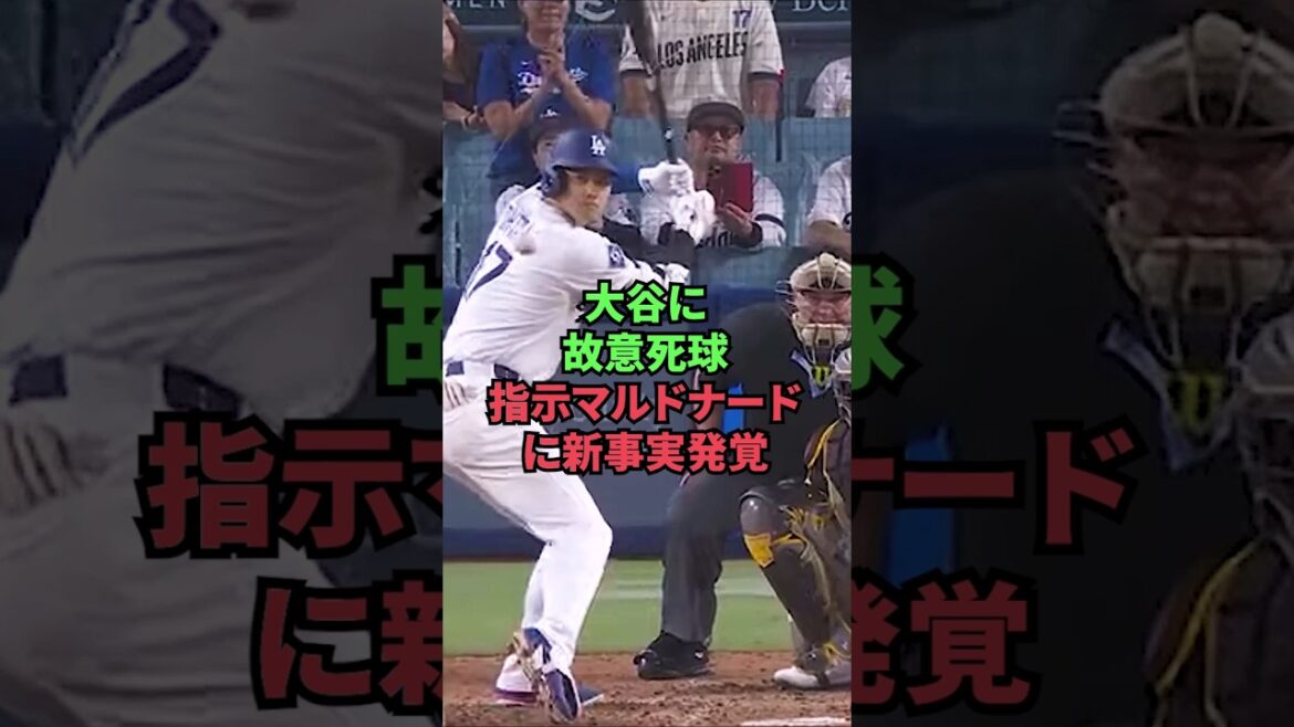 大谷に故意死球指示マルドナードに新事実発覚 大谷に故意死球指示マルドナードに新事実発覚