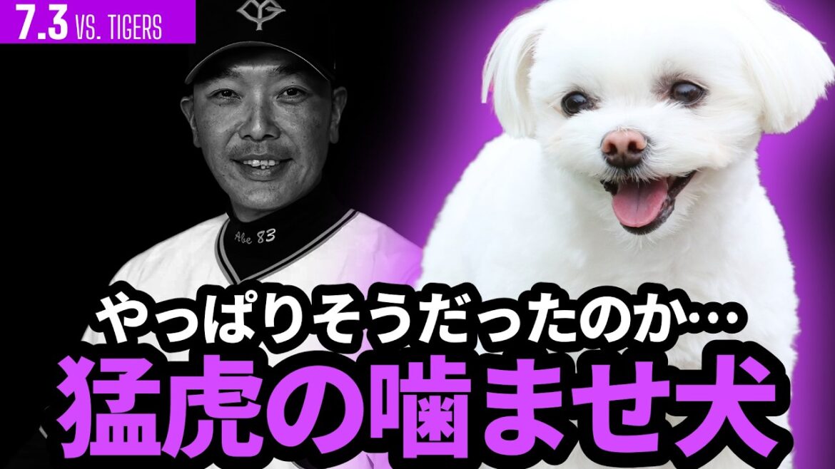 巨人、阪神に絶望的3連敗!!リクエストもせず!?やっぱり猛虎の噛ませ犬? 巨人、阪神に絶望的3連敗!!リクエストもせず!?やっぱり猛虎の噛ませ犬?