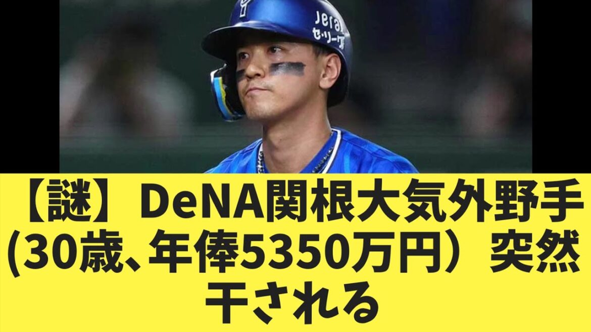 【謎】DeNA関根大気外野手30歳､年俸5350万円）突然干される