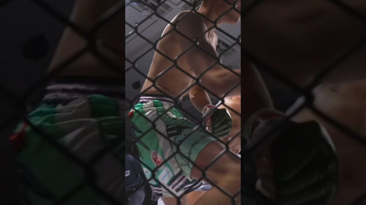 #大原樹理 × #ジョニーケース #오오하라주리 × #조니케이스 #PARADISECITY #パラダイスシティ