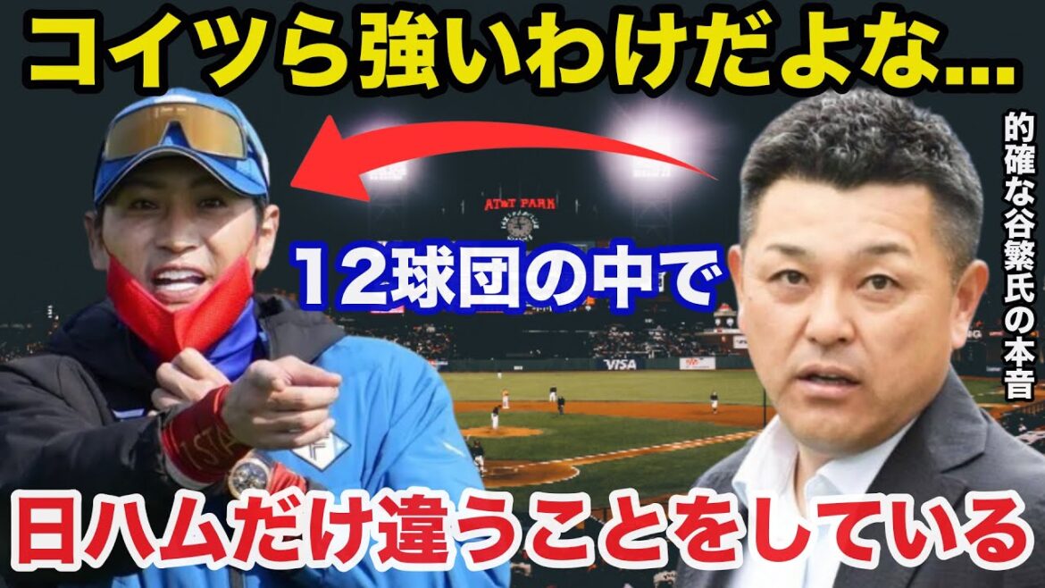 新庄監督率いる日ハムが急に強くなったある理由に谷繁元信が放ったある本音が的確すぎると話題に【日本ハムファイターズ/プロ野球】 新庄監督率いる日ハムが急に強くなったある理由に谷繁元信が放ったある本音が的確すぎると話題に【日本ハムファイターズ/プロ野球】