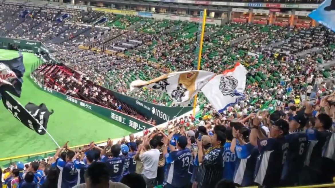 20250706　ｶｰﾄﾞ勝ち越しへ！埼玉西武ライオンズの試合前1－9応援歌メドレー　鳴り物･声出し応援1-9@みずほPayPayﾄﾞｰﾑ福岡･ﾗｲﾄ外野［鷹祭 SUMMER CHARGE 2025］