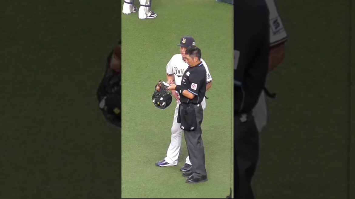 中嶋 聡 監督　白井 一行 #npb 審判員・記録員 に選手交代を告げた後マーゴに労われる　#オリックスバファローズ #shorts